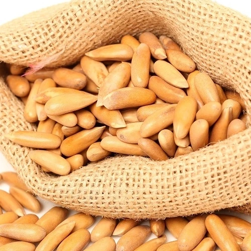 pine nuts importers