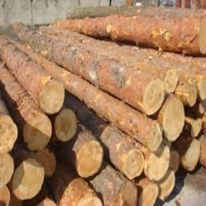 Pine Wood Logs for sale