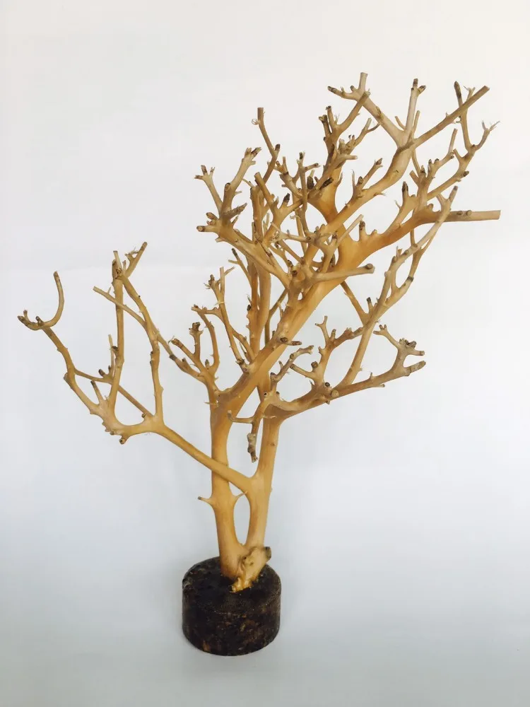 Wholesale Aquarium Polyresin Coral Ornament Fish Accessories Decorations Box Logo Tank Packing Balance Hotel Feature Eco Brown