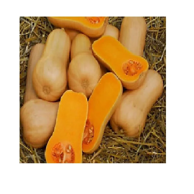 Fresh Natural Frozen pumpkins 100%