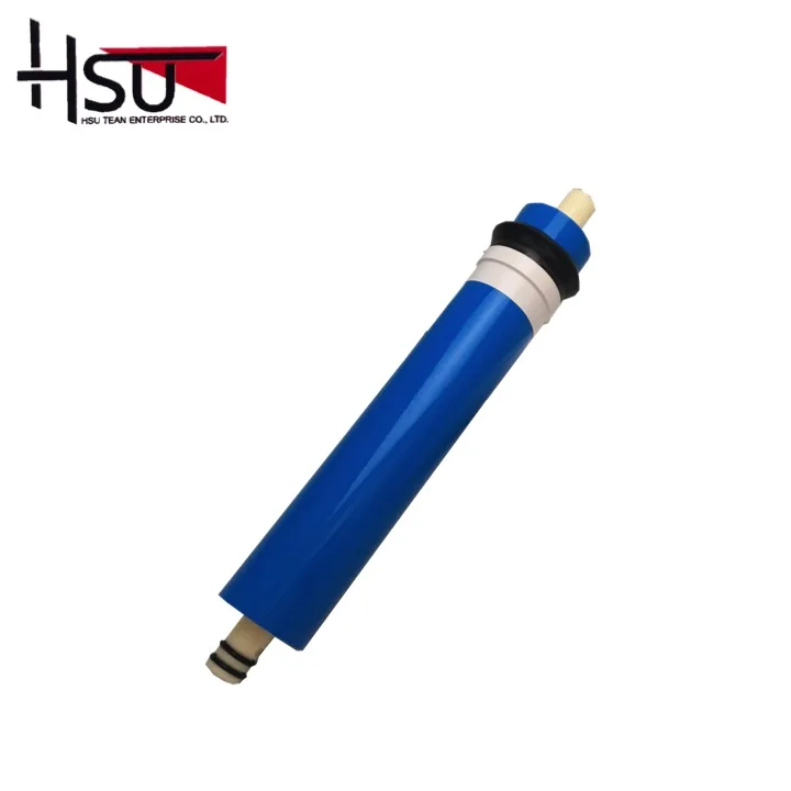 100 GDP RO membrane and housing filter
