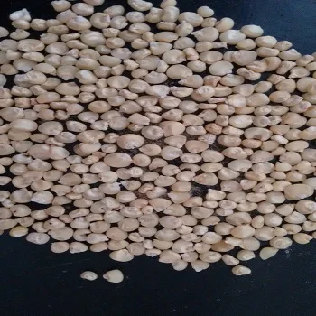 High Quality White Maize