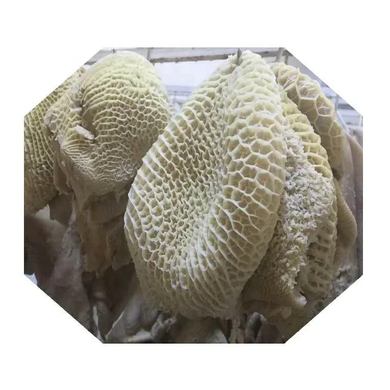 Beef Honeycomb / Beef Meat Honeycomb from Pakistan/ High Quality Clean and Fully Boiled