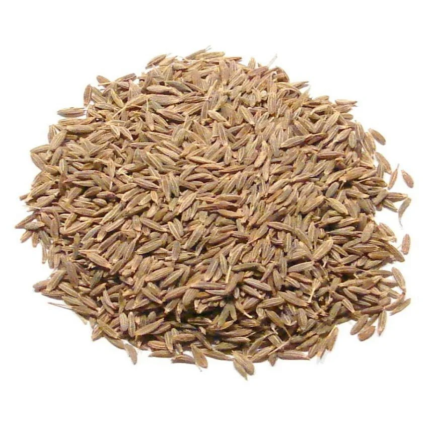 Singapore Europe Premium quality of cumin seed price Indian origin use for cooking 100% pure organic spices product