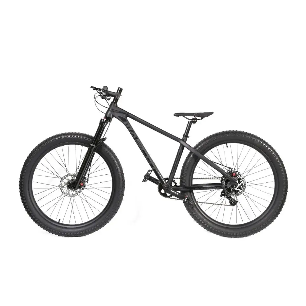 FTBSP1 Bicycle Mountain Bike Downhill Mtb