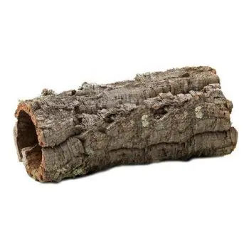 Virgin Cork Bark Tubes for Decoration and Terrariums