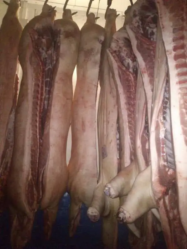 
Frozen Beef full rump (heart rump / rump cap / rump tail) high quantity for export 