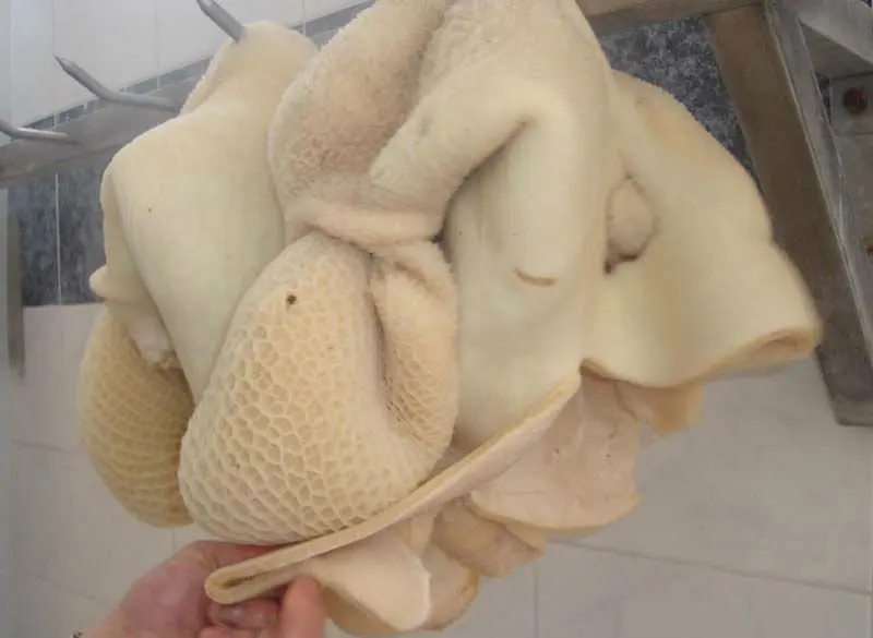 
Halal frozen salted beef omasum, beef chunk beef brisket, corned beef and beef tallow 