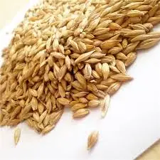 Indian First Quality Milling Wheat High Quality