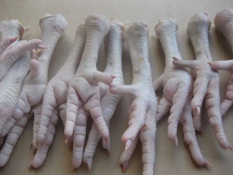 Wholesale frozen chicken leg quarters, Chicken Feet, Wings, Legs