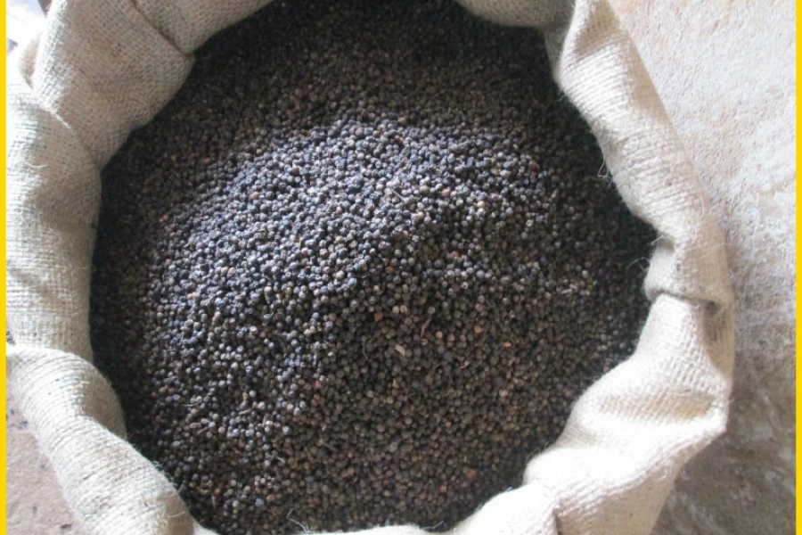  Черный перец 550 г/л очистка из Вьетнама