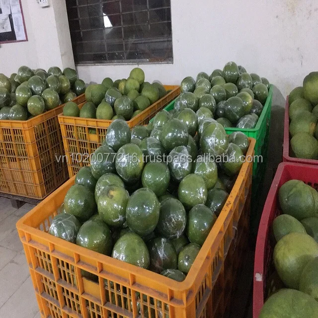 Vietnam Fresh pomelo