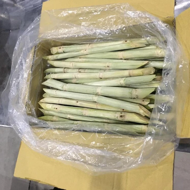 Очищенный замороженный сахарный тростник, новый продукт