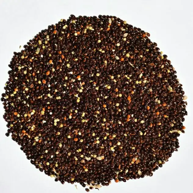 
Wholesale Bird Feed Seeds Of Ukrainian origin Black Millet for Birds Food 
