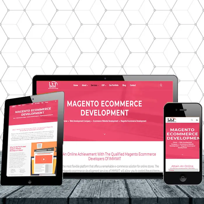 Top Modern creative ecommerce website development by ProtoLabz eServices