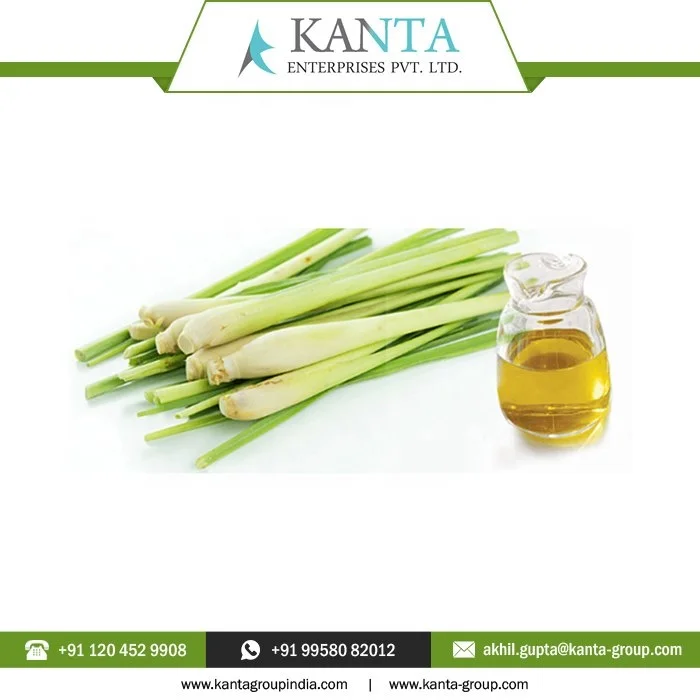 Private Label OEM / ODM 100% Pure & Natural Gingergrass Essential Oil at Sale Bulk Quantity Wholesale Price