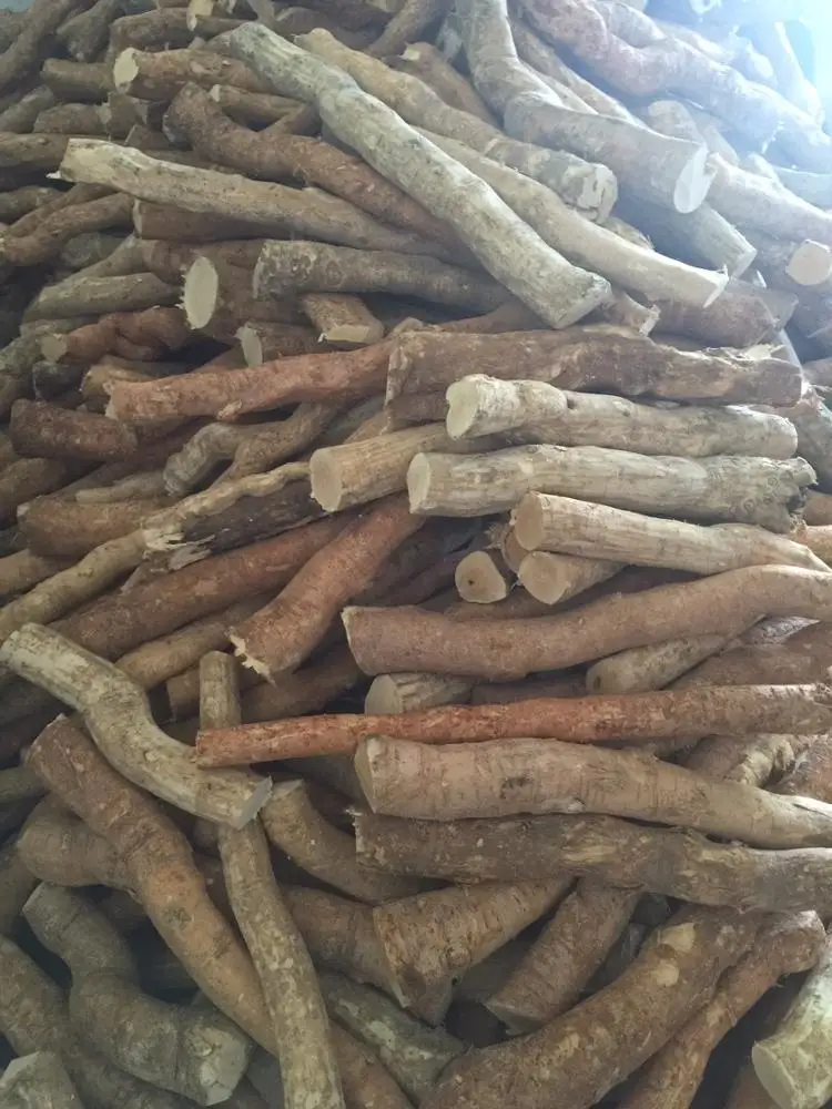 TONGKAT ALI DRY - Eurycoma Longifolia Ms Holiday +84-845-639-639