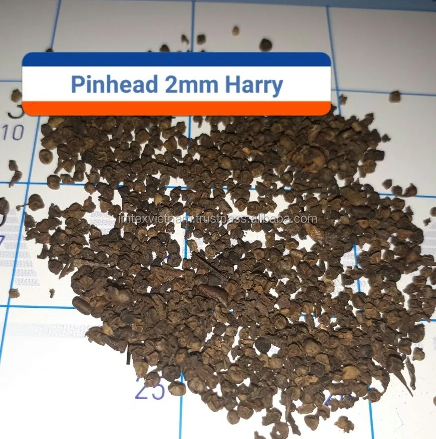 VIETNAM PINHEAD PEPPER / BLACK PEPPER SPENT ( WHATSAPP: 0084 164 9078 009)