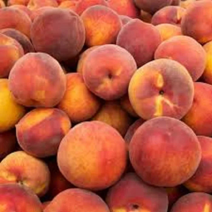 
FRESH PEACH / NECTARINE 