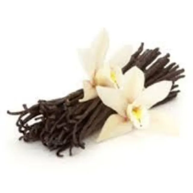 Factory Price High Quality Vanilla Beans Essential Oil at Best Price from India