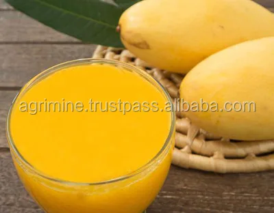 High Quality Totapuri Mango Pulp