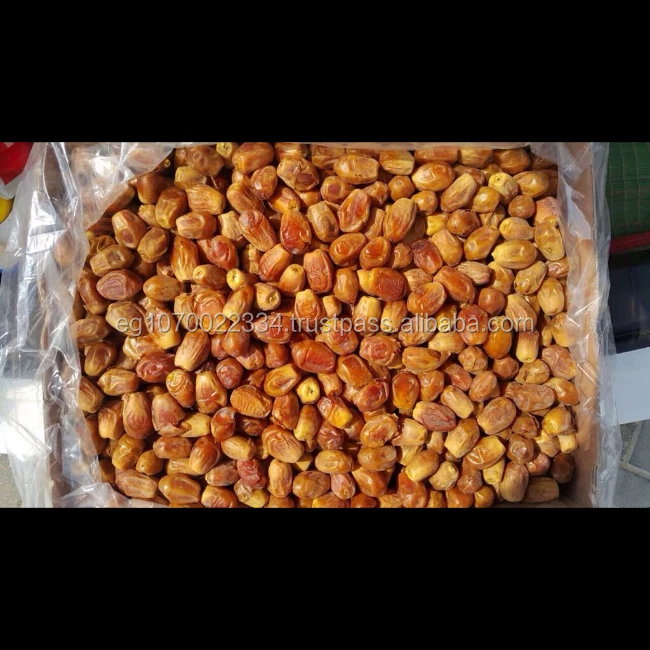 egypt dates SEMI DRY PRICE 20222
