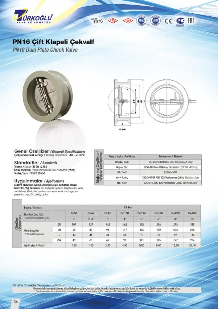 DN250 Dual Plate Check Valve