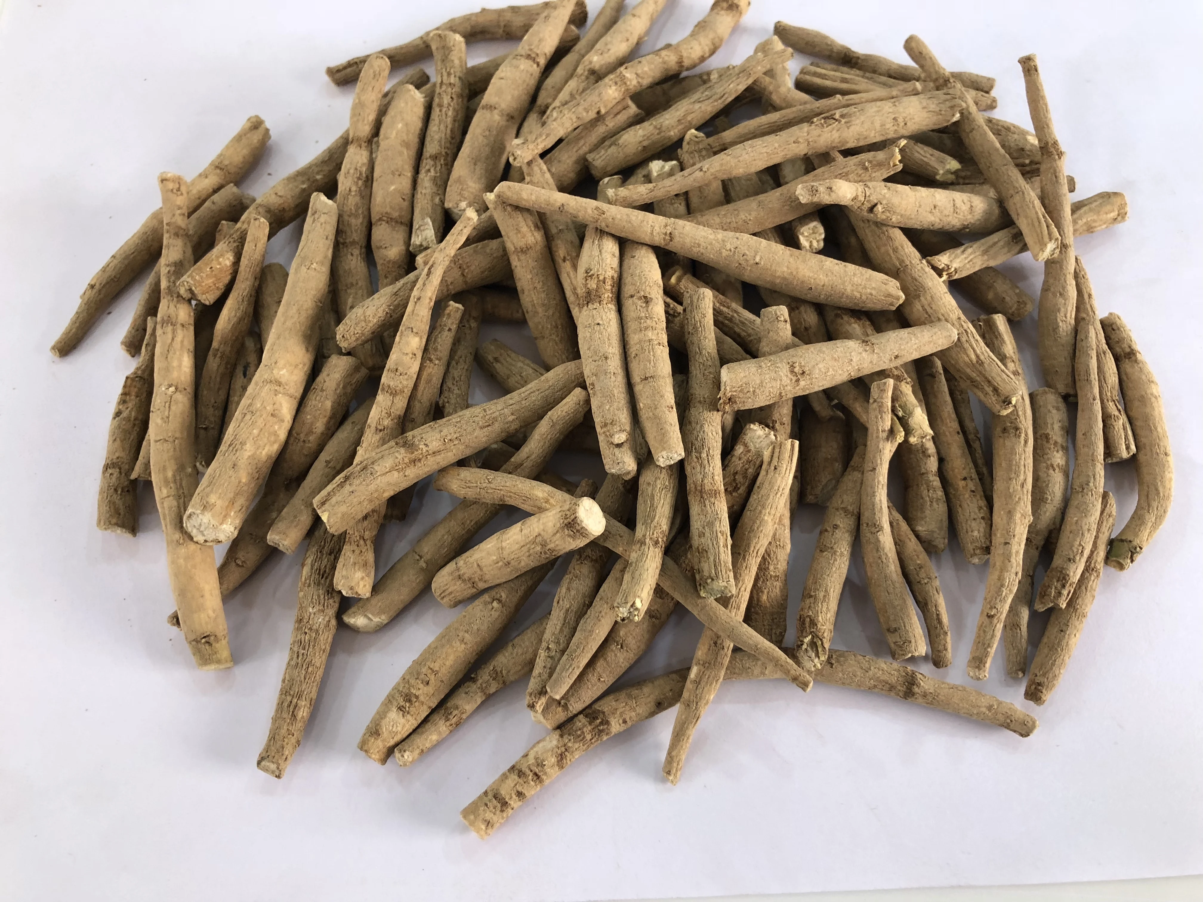 Индийское происхождение Ashwagandha - Withania Somnifera-зимний Вишневый повышающий иммунитет индийский женьшень