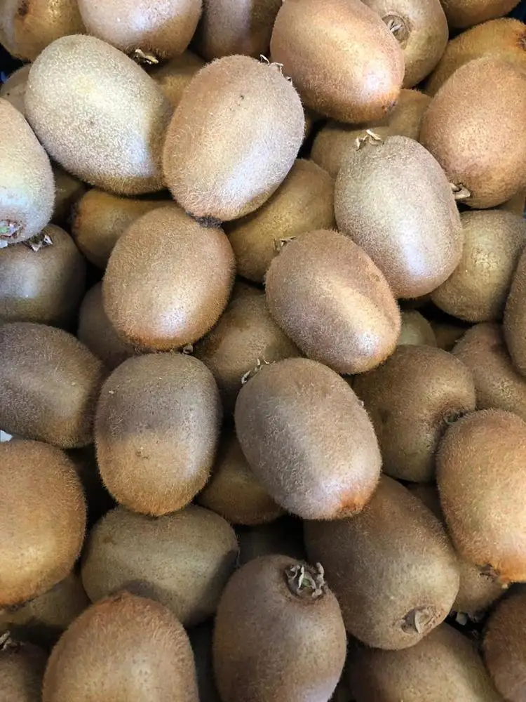 
Fresh Kiwi fruit wholesales / Kiwi Greek origin Grade 1 for export 