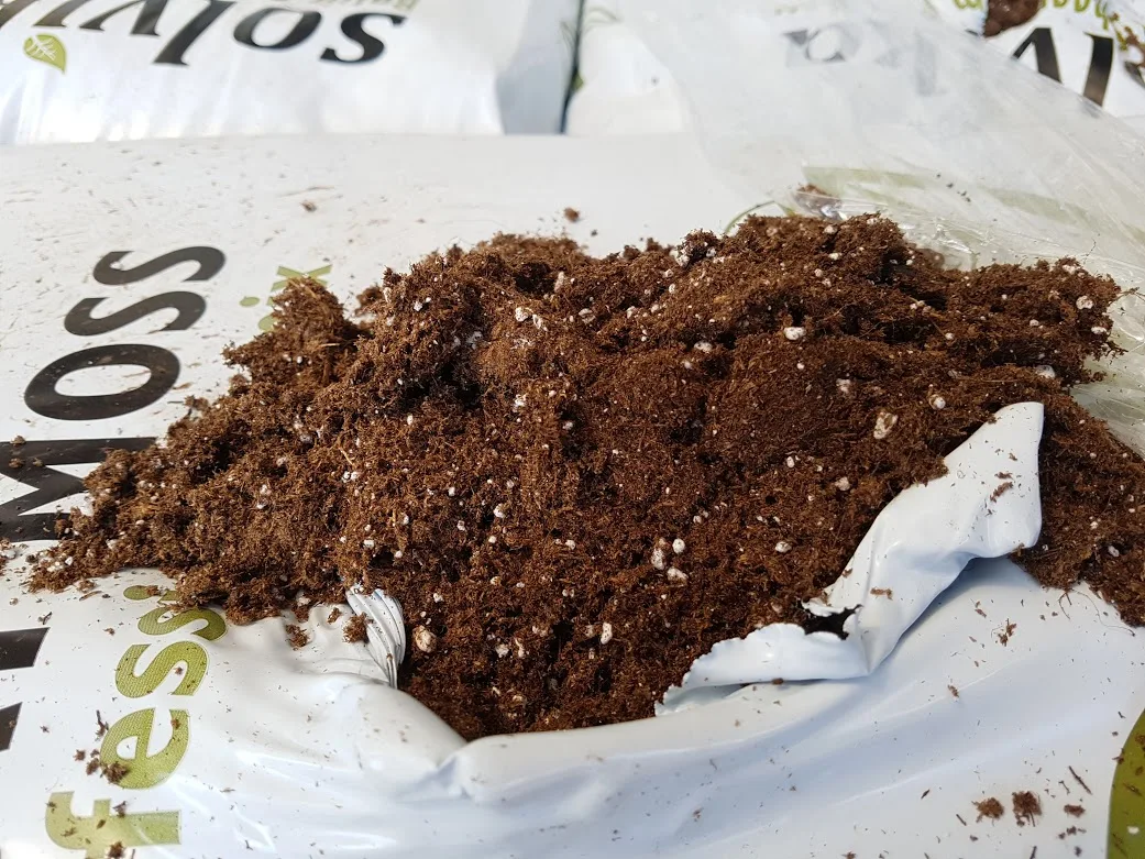 Top-Grade Blueberry Acid Peat Moss - pH-Optimized Growth Support
