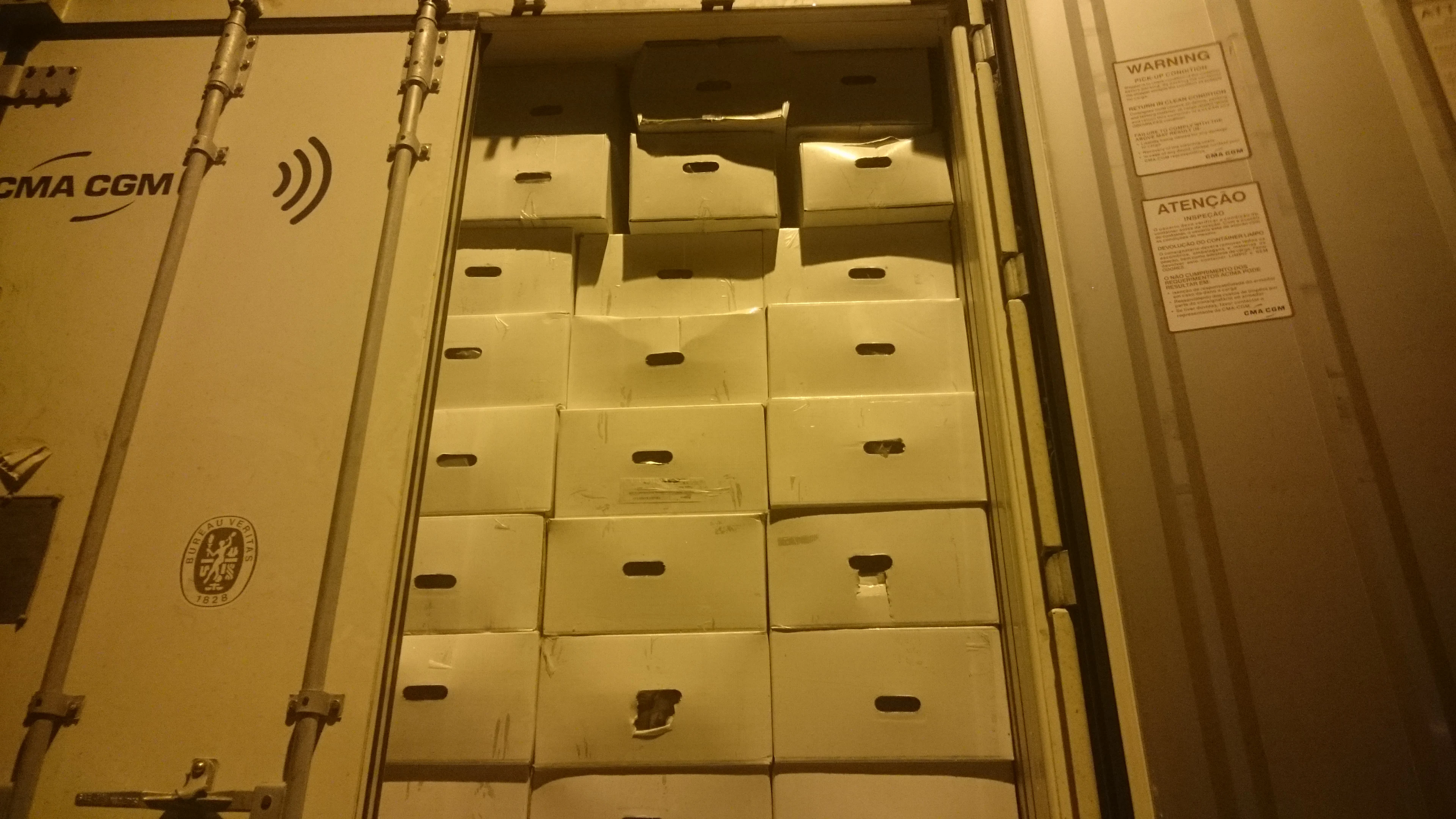 FRESH DURIAN WITH HIGH QUALITY