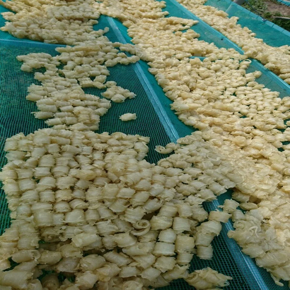 
Dry FISH MAWS TOP QUALITY ORIGIN VIETNAM Bulk Piece HACCP 