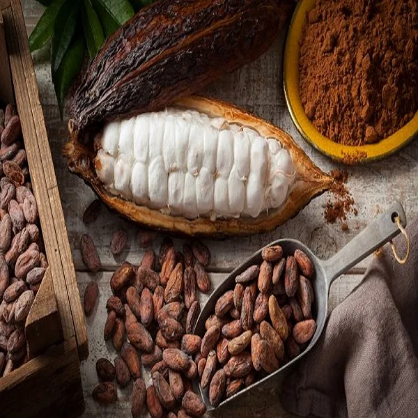 Organic Cocoa (Cacao) Beans/Nibs/Butter/Liquor/Powder