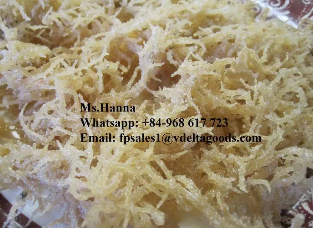 Морские водоросли Spinosum/Eucheuma cottonii