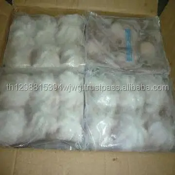 GOOD Frozen Baby octopus / Frozen Whole Octopus