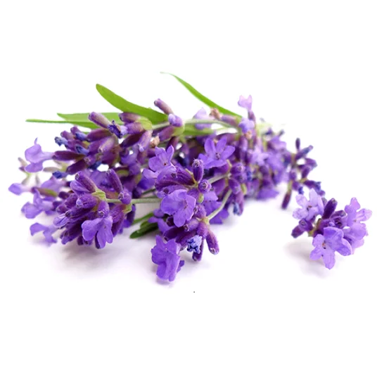 Lavender Hydrosol (Floral Water)
