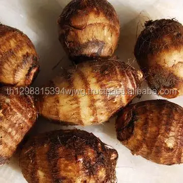 100% свежий TARO/ TARO хорошего качества и по лучшей цене