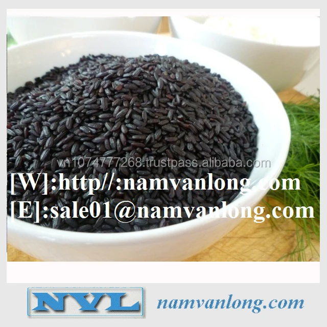 TOP QUALITY! OFFER VIETNAMESE BLACK RICE 2022 WITH HIGH QUALITY AND BEST PRICE