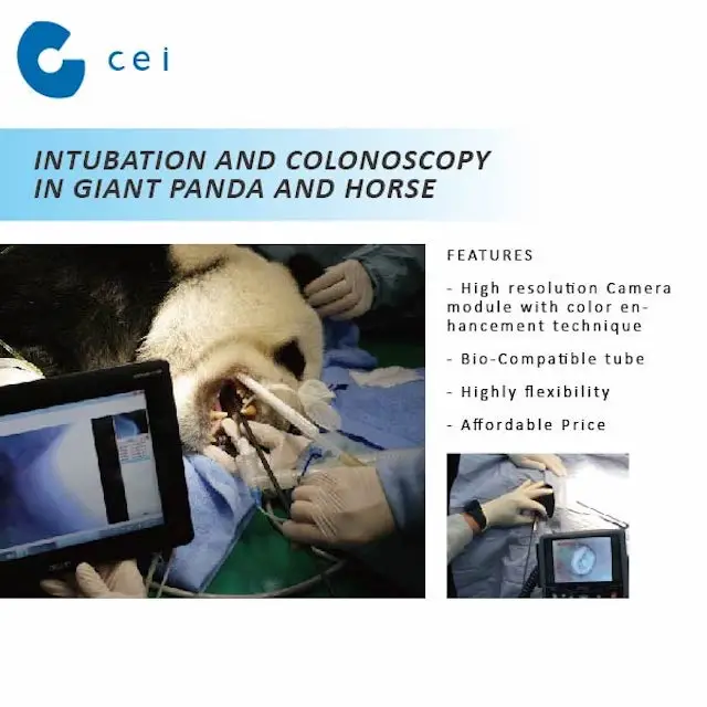 Latest Digital Endoscope Surgical Arthroscopy Instruments With Monitor Camera Probe Cable