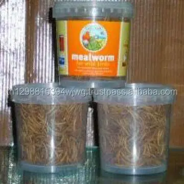GOOD Quality Dried Grade 1 Mealworm (Tenebrio Molitor)