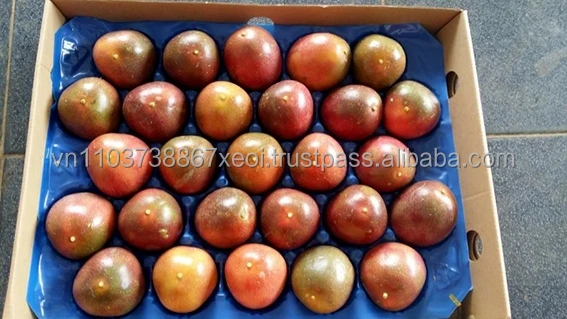 FRESH PASSION FRUIT/ FROZEN PASSION FRUIT FOR KOREA MARKET