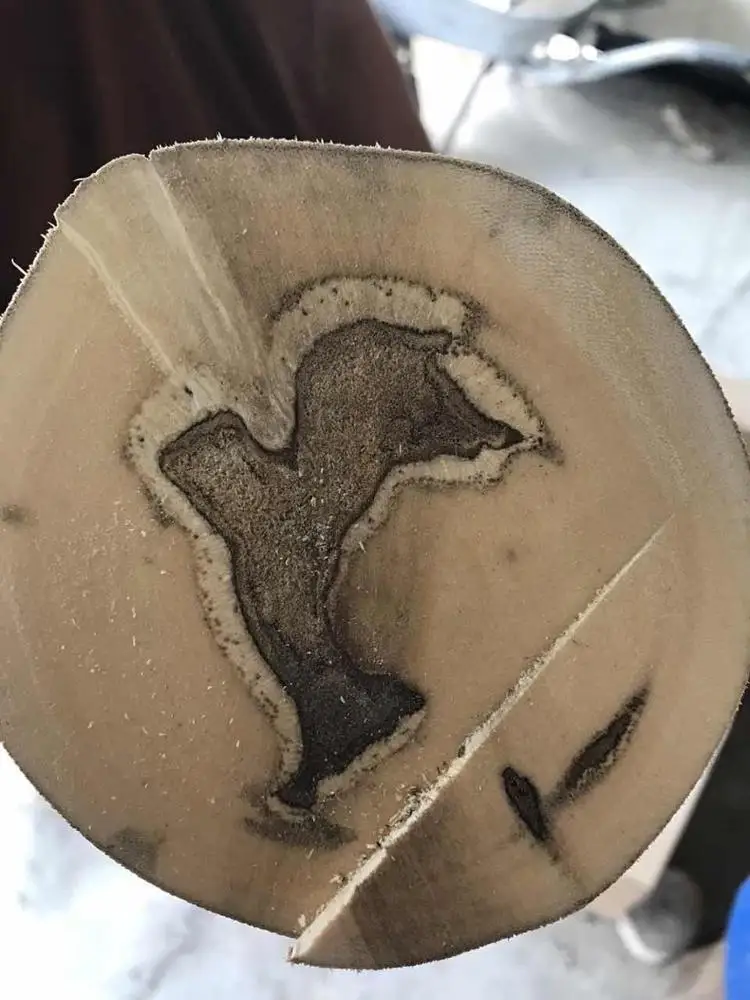 
Skin Removed High Quality Pure Agar_wood Wood Logs Malaysia Made 