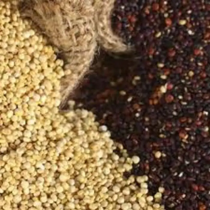 
Organic Quinoa - Private Label 