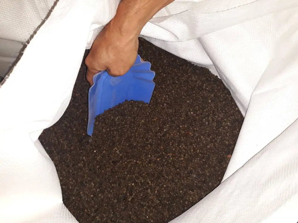 BLACK PEPPER 500 GL CLEANED FROM KINGPEPPER VIETNAM BEST OFFER