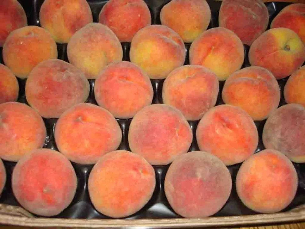 
fresh peach for sale 