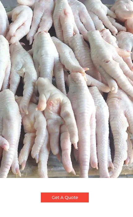 
Buy Grade A Chicken Feet / Frozen Chicken Paws for Direct Export Worldwide 