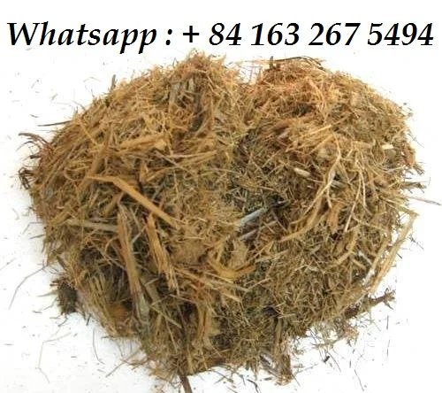 SUGARCANE BAGASSE FROM VIETNAM