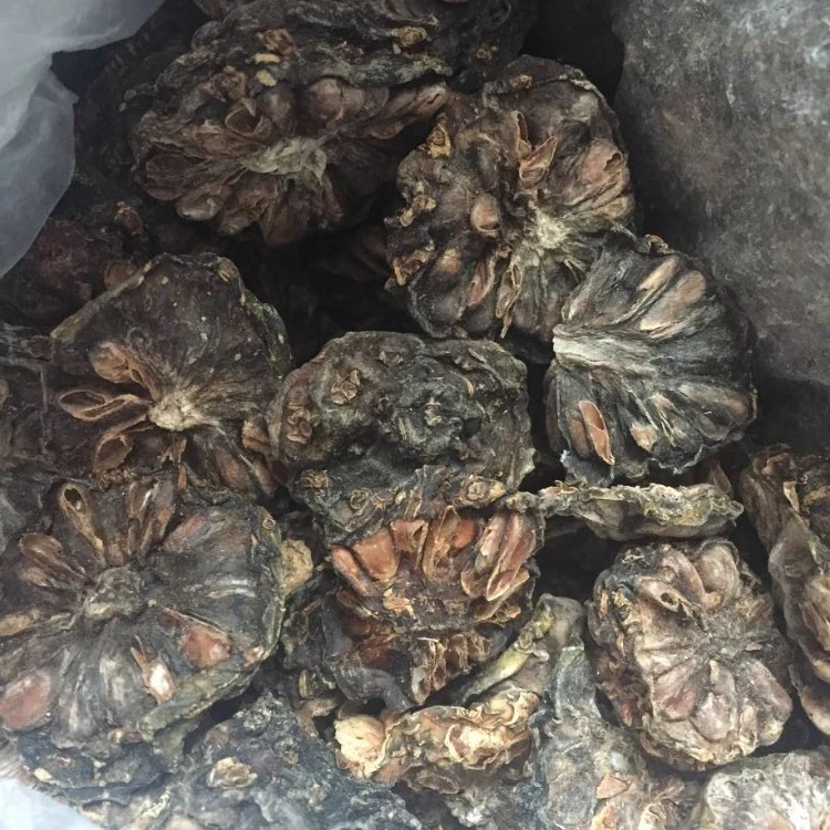 NONI DRIED/ DRY FRUIT/VIETNAM