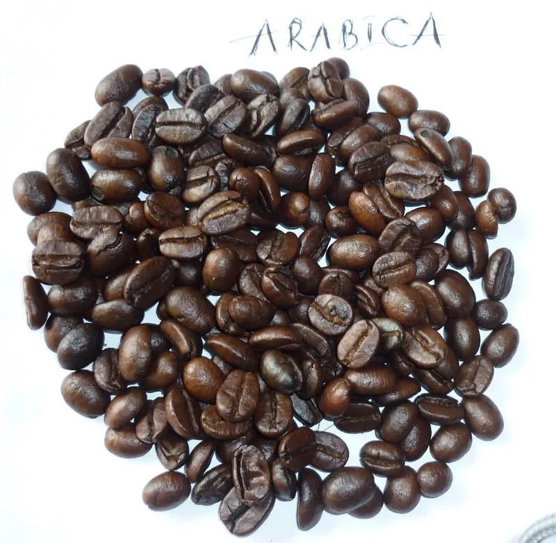 
Premium Robusta Roasted Coffee Bean Coffee with Best Price COMMON  (50030445098)