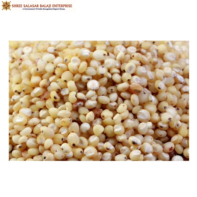 BEST quality Organic white sorghum seeds high grade good quality healthy food raw available in bulk quantity at wholesale price